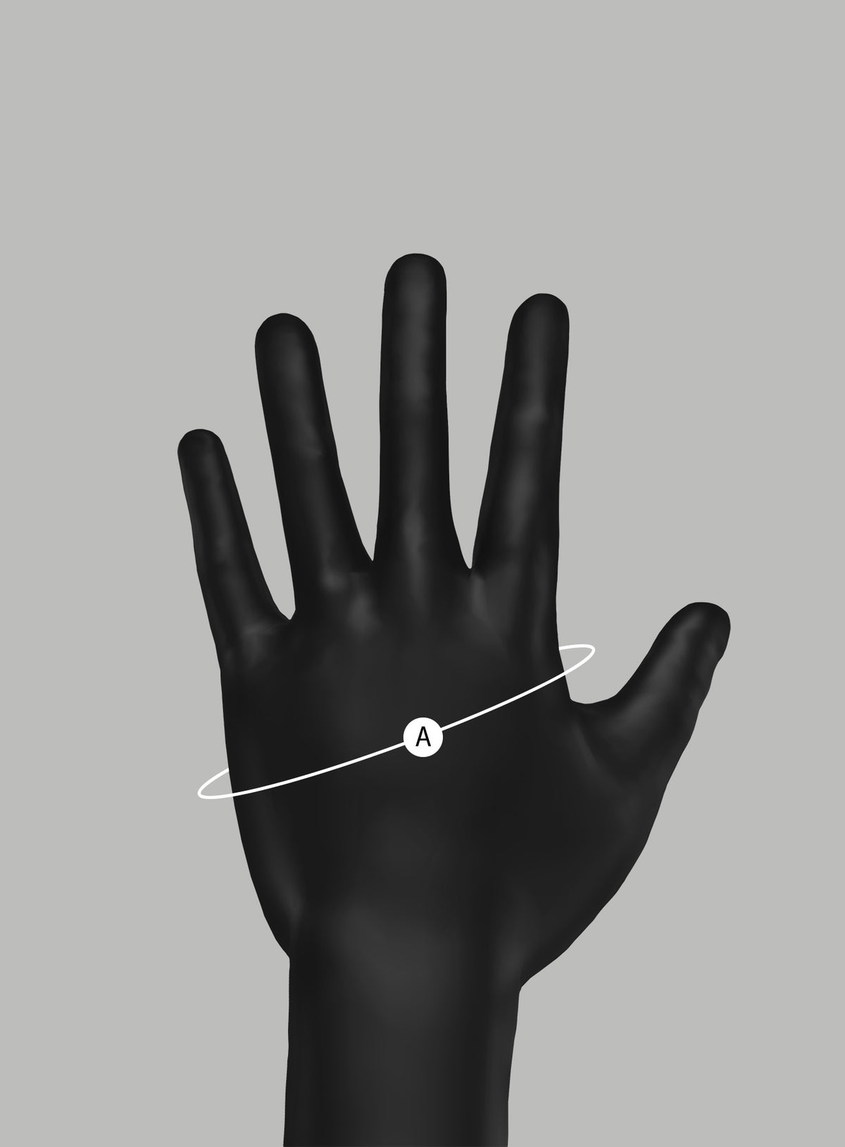 A | Hand Circumference